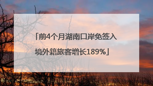 前4个月湖南口岸免签入境外籍旅客增长189%