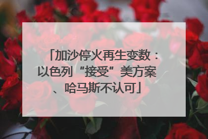 加沙停火再生变数：以色列“接受”美方案、哈马斯不认可