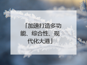 加速打造多功能、综合性、现代化大港
