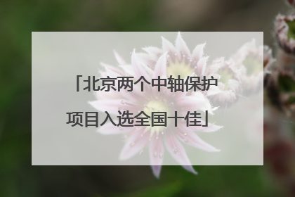 北京两个中轴保护项目入选全国十佳