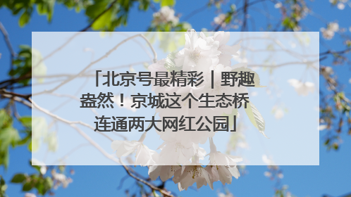北京号最精彩｜野趣盎然！京城这个生态桥连通两大网红公园