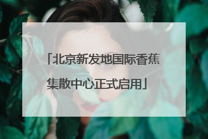 北京新发地国际香蕉集散中心正式启用