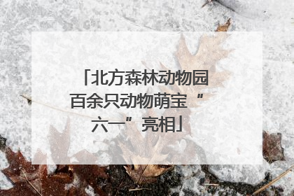 北方森林动物园百余只动物萌宝“六一”亮相