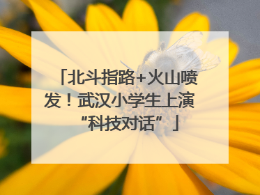 北斗指路+火山喷发！武汉小学生上演“科技对话”