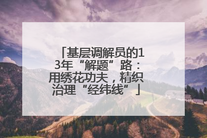 基层调解员的13年“解题”路：用绣花功夫，精织治理“经纬线”