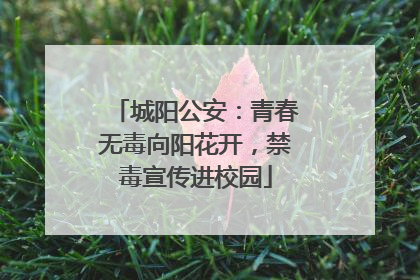 城阳公安：青春无毒向阳花开，禁毒宣传进校园