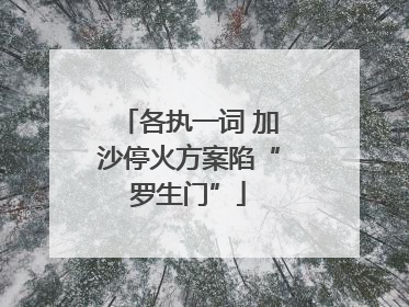 各执一词 加沙停火方案陷“罗生门”