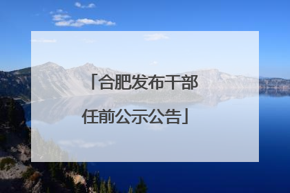 合肥发布干部任前公示公告