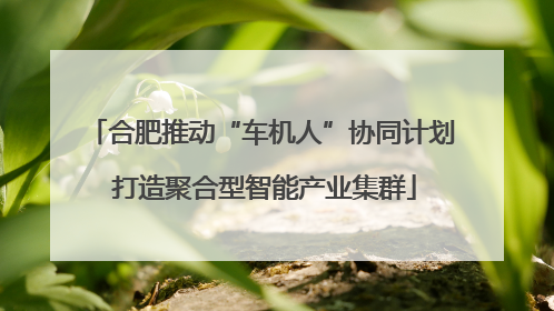 合肥推动“车机人”协同计划 打造聚合型智能产业集群