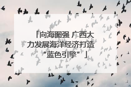 向海图强 广西大力发展海洋经济打造“蓝色引擎”
