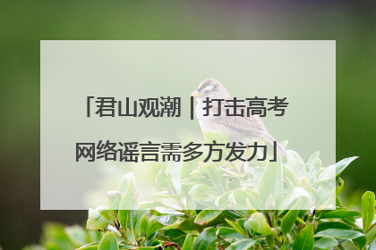 君山观潮｜打击高考网络谣言需多方发力