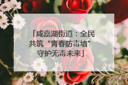 咸嘉湖街道：全民共筑“青春防毒墙” 守护无毒未来