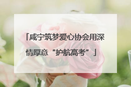咸宁筑梦爱心协会用深情厚意“护航高考”