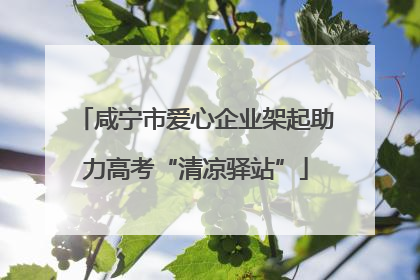 咸宁市爱心企业架起助力高考“清凉驿站”