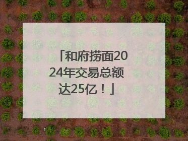 和府捞面2024年交易总额达25亿！
