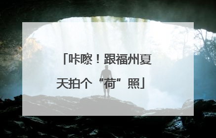 咔嚓！跟福州夏天拍个“荷”照