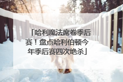 哈利魔法席卷季后赛！盘点哈利伯顿今年季后赛四次绝杀