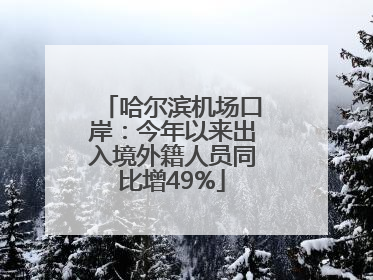 哈尔滨机场口岸：今年以来出入境外籍人员同比增49%