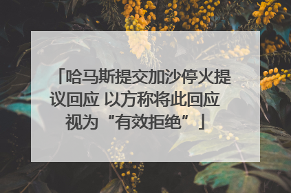 哈马斯提交加沙停火提议回应 以方称将此回应视为“有效拒绝”