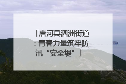 唐河县泗洲街道：青春力量筑牢防汛“安全堤”
