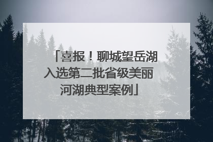 喜报！聊城望岳湖入选第二批省级美丽河湖典型案例