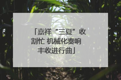 嘉祥“三夏”收割忙 机械化奏响丰收进行曲