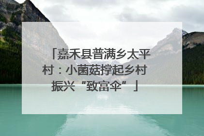 嘉禾县普满乡太平村：小菌菇撑起乡村振兴“致富伞”
