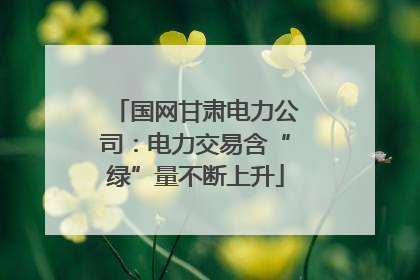 国网甘肃电力公司：电力交易含“绿”量不断上升