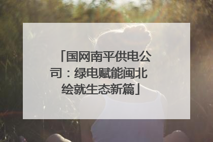 国网南平供电公司：绿电赋能闽北 绘就生态新篇
