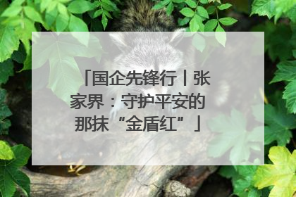 国企先锋行丨张家界：守护平安的那抹“金盾红”