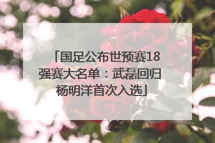 国足公布世预赛18强赛大名单：武磊回归 杨明洋首次入选
