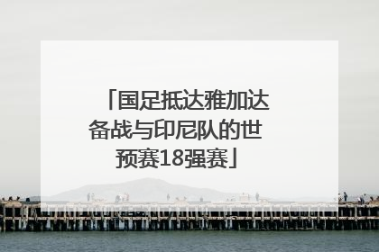 国足抵达雅加达备战与印尼队的世预赛18强赛