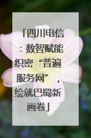 四川电信：数智赋能织密“普遍服务网”，绘就巴蜀新画卷