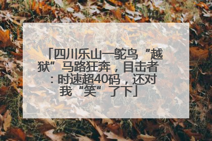 四川乐山一鸵鸟“越狱”马路狂奔，目击者：时速超40码，还对我“笑”了下