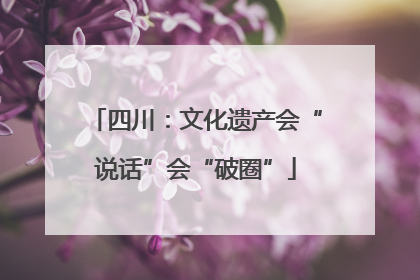 四川：文化遗产会“说话”会“破圈”