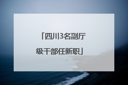 四川3名副厅级干部任新职
