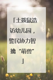 土拨鼠造访幼儿园，警民协力智擒“萌兽”