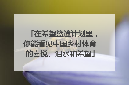 在希望篮途计划里，你能看见中国乡村体育的喜悦、泪水和希望