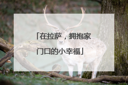 在拉萨，拥抱家门口的小幸福