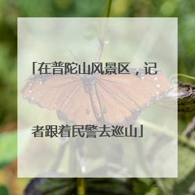 在普陀山风景区，记者跟着民警去巡山