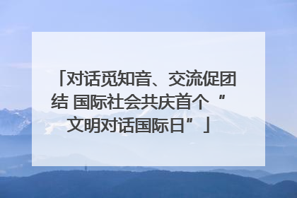 对话觅知音、交流促团结 国际社会共庆首个“文明对话国际日”