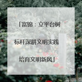 富锦：立平台树标杆深耕文明实践培育文明新风