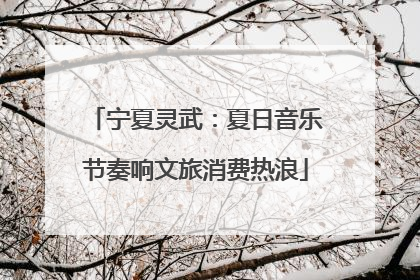 宁夏灵武：夏日音乐节奏响文旅消费热浪
