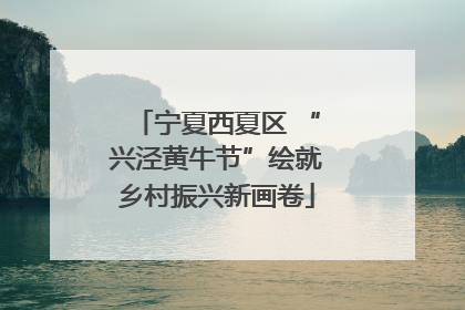 宁夏西夏区 “兴泾黄牛节”绘就乡村振兴新画卷