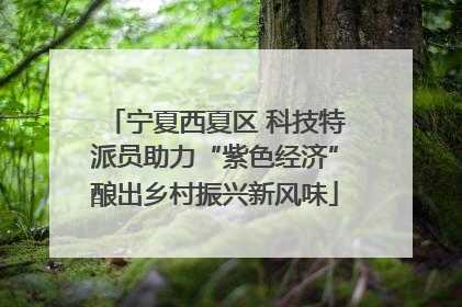 宁夏西夏区 科技特派员助力“紫色经济”酿出乡村振兴新风味