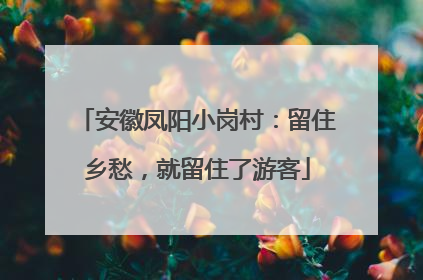 安徽凤阳小岗村：留住乡愁，就留住了游客