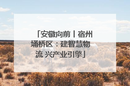 安徽向前丨宿州埇桥区：建智慧物流 兴产业引擎