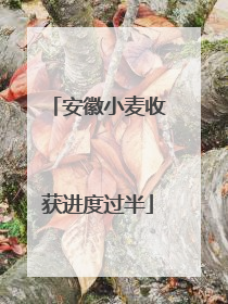 安徽小麦收获进度过半