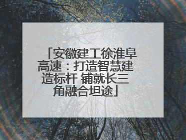 安徽建工徐淮阜高速：打造智慧建造标杆 铺就长三角融合坦途
