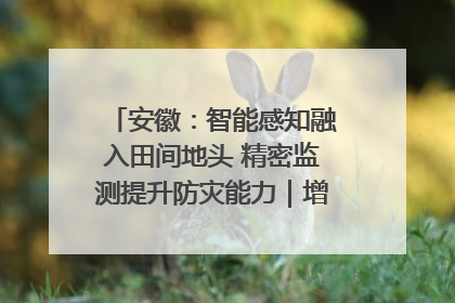 安徽：智能感知融入田间地头 精密监测提升防灾能力｜增发国债气象项目落地见效系列报道